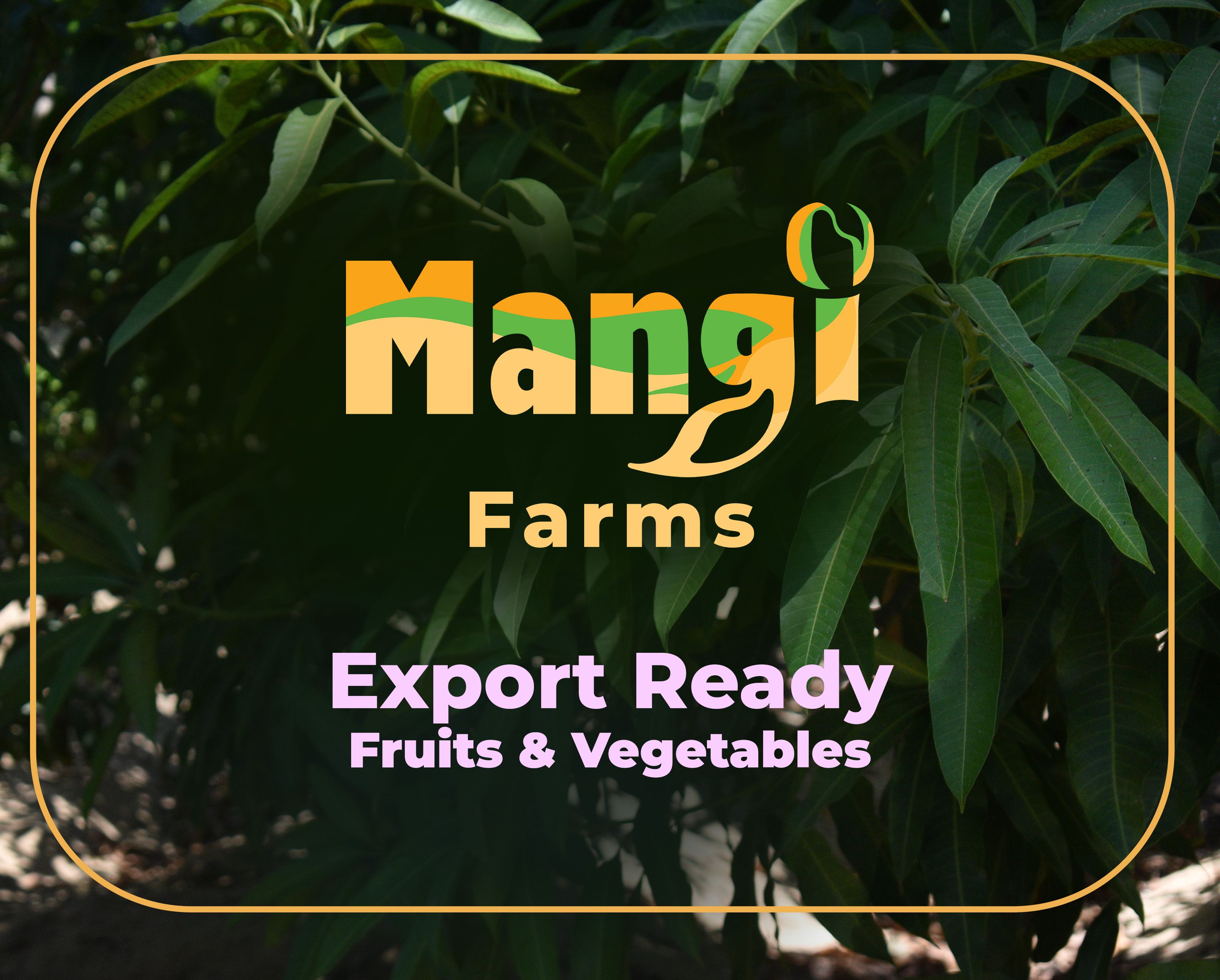 Fresh Fruits and Vegetables